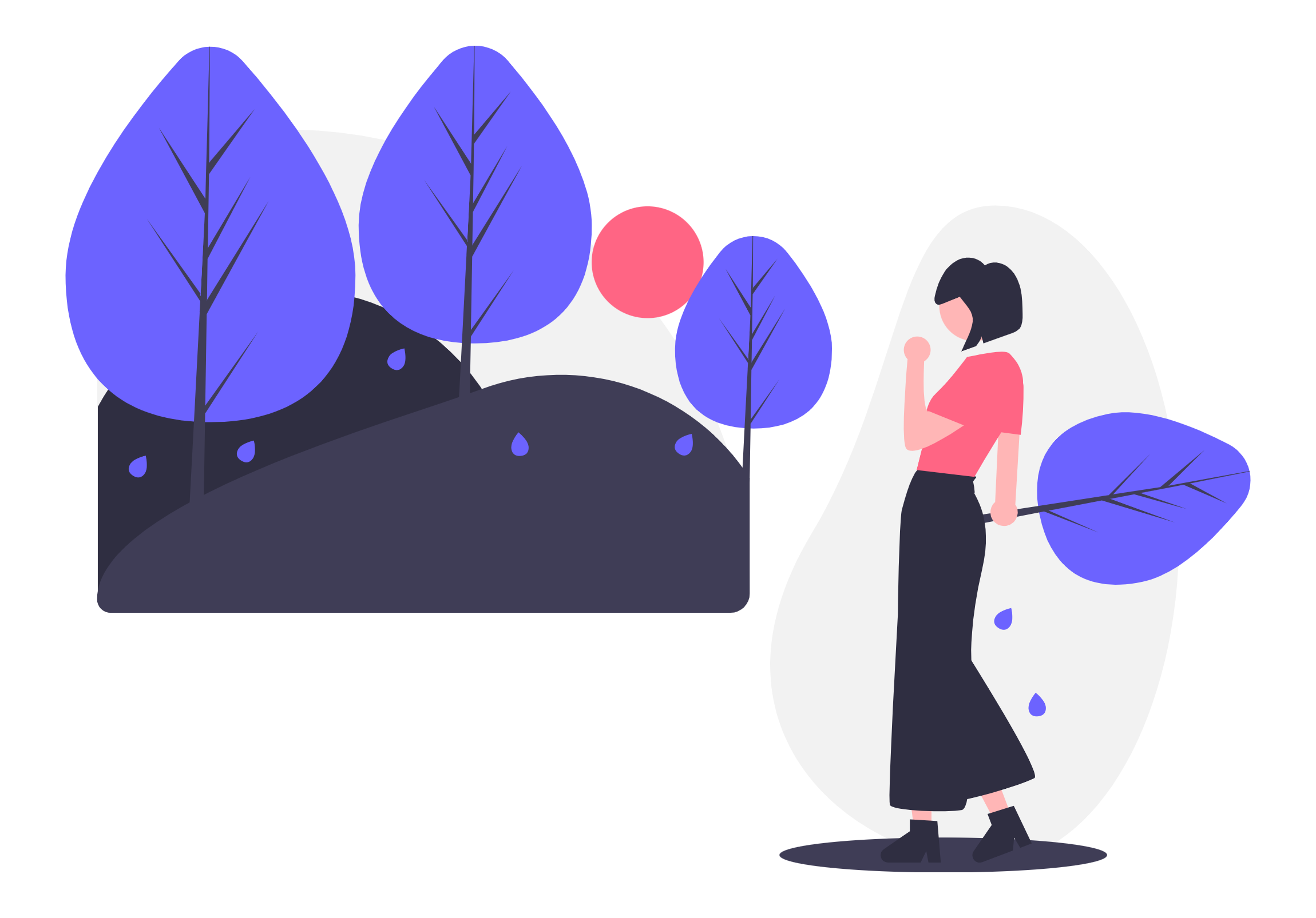 School Participation